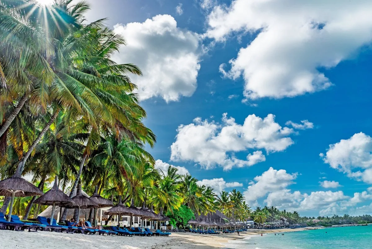 Belle Mare beach lagoon with coconut trees on the shore in Mauritius