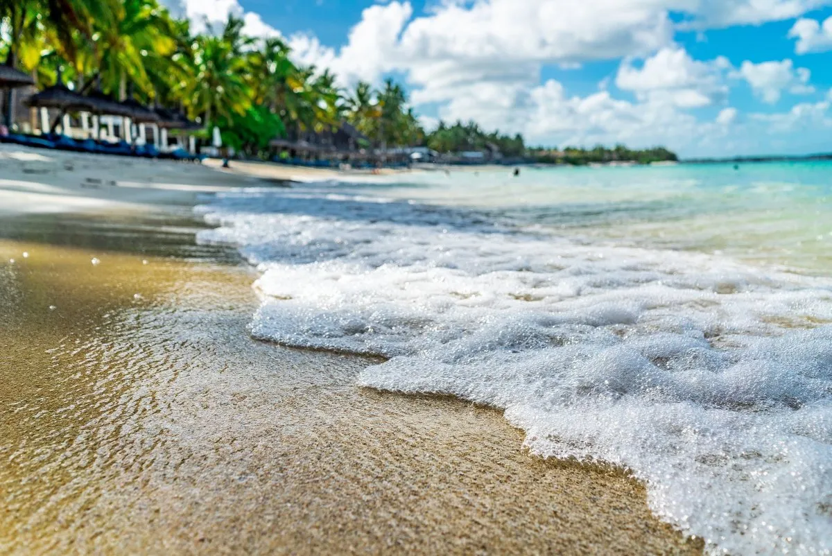 Calm waves washing onto Belle Mare beach with coconut trees in the background in Mauritius