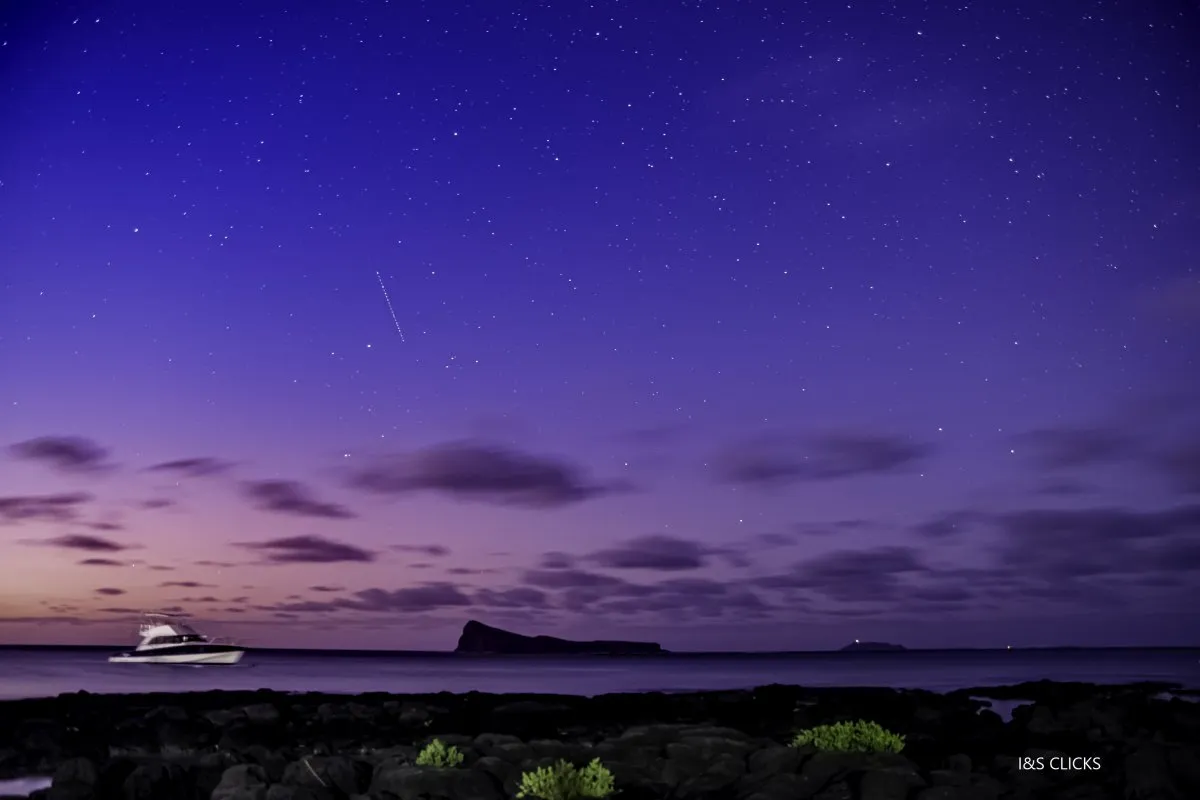 Rocky beach with plants under starry night sky and view of Coin de Mire island in Mauritius