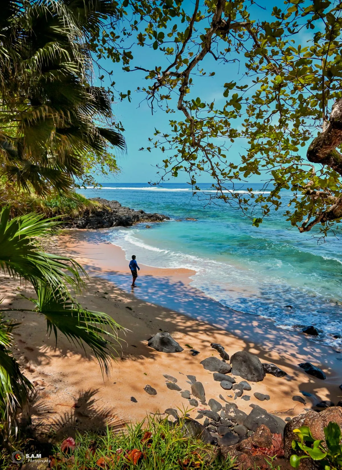 Man standing on a wild beach near turquoise lagoon surrounded by plants in Mauritius