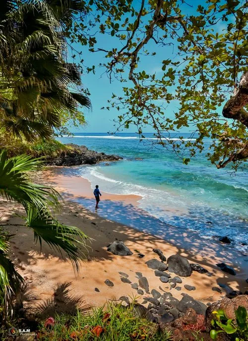 Paradise view of wild beach in Mauritius