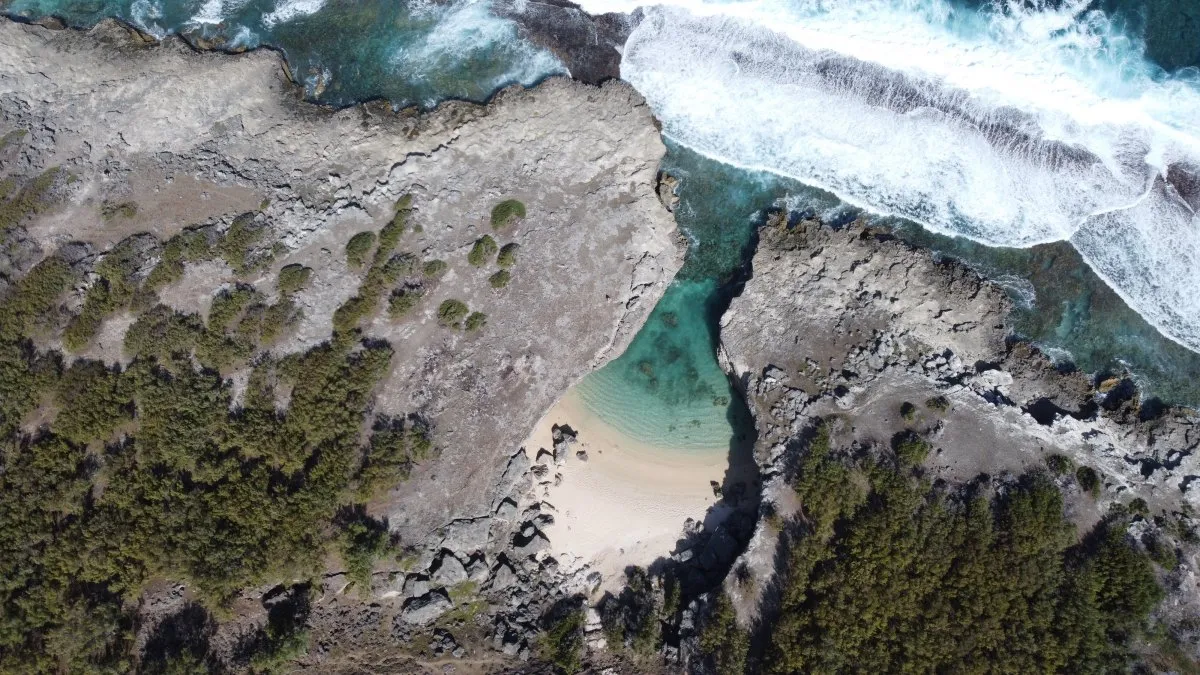 Aerial drone view of Anse Bouteille beach and volcanic coastline in Rodrigues, Mauritius.