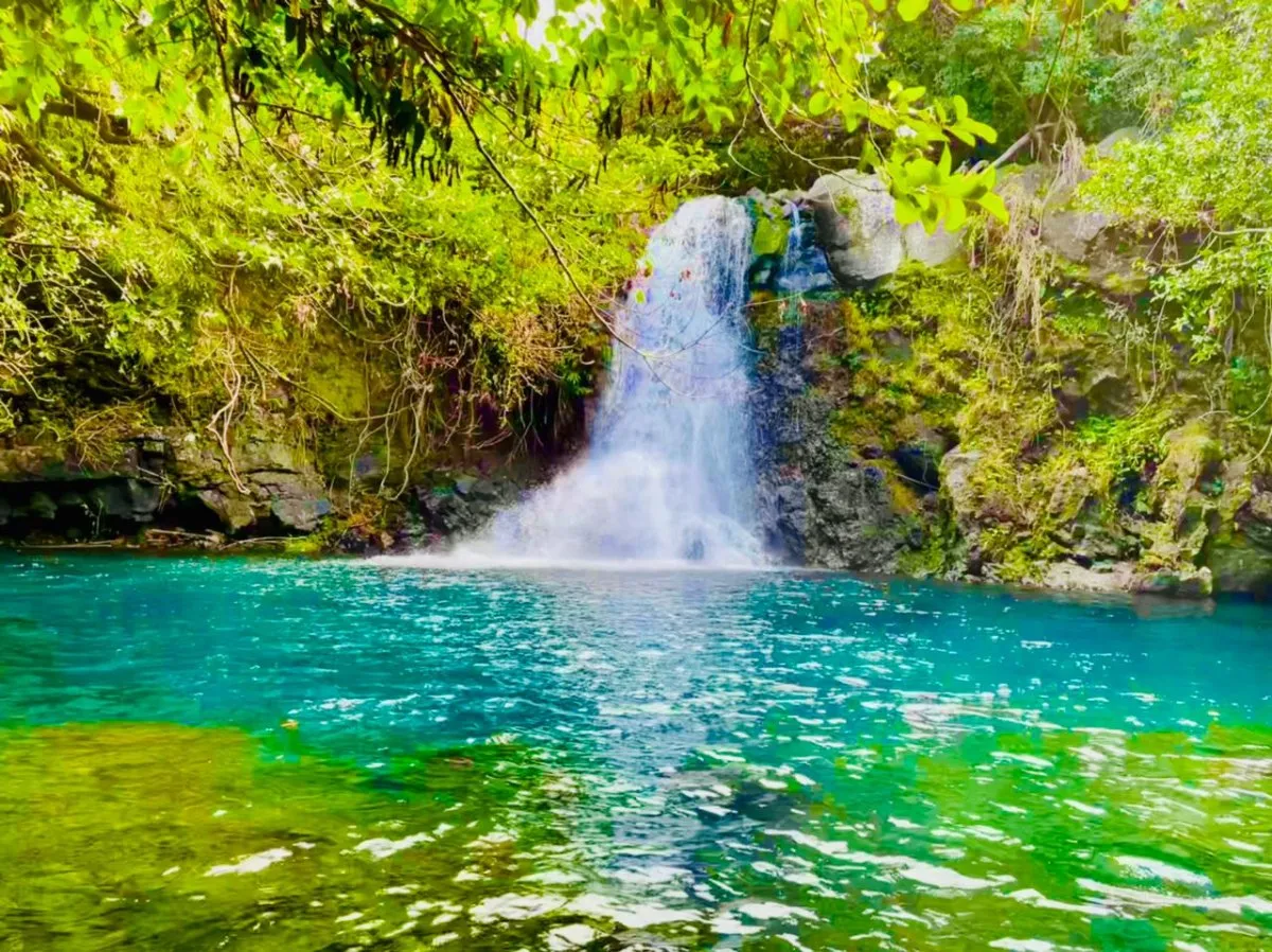 Blue waterfall flowing into a turquoise lake surrounded by exotic plants in Mauritius