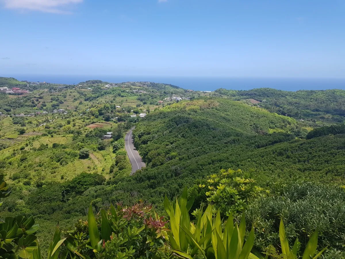Aerial view of lush green forest and vegetation at Mont Limon in Rodrigues, Mauritius
