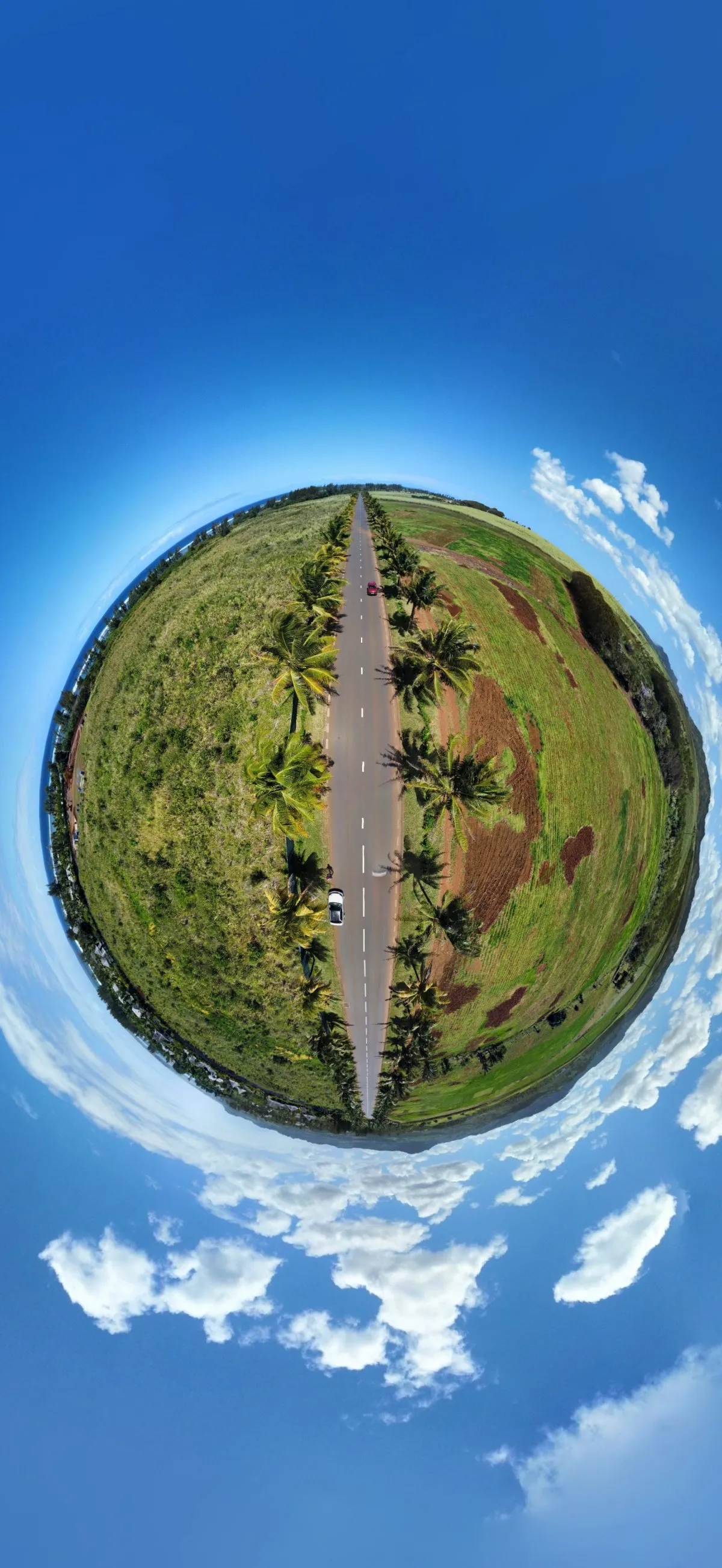 Aerial 360° fish eye view of coconut tree-lined road at Bel Ombre in Mauritius