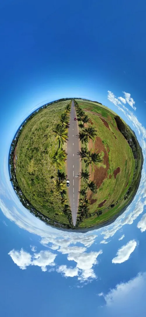 360 Fish eye view of Coconut trees at Bel Ombre
