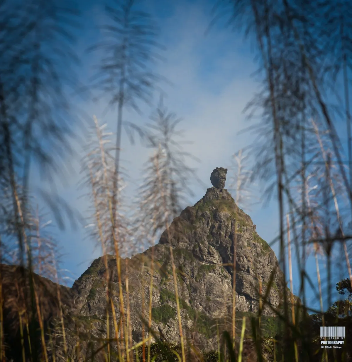 Balanced rock at the summit of Pieter Both mountain in Mauritius surrounded by plants