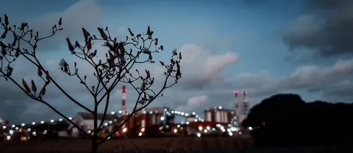 Omnicane Thermal power plants