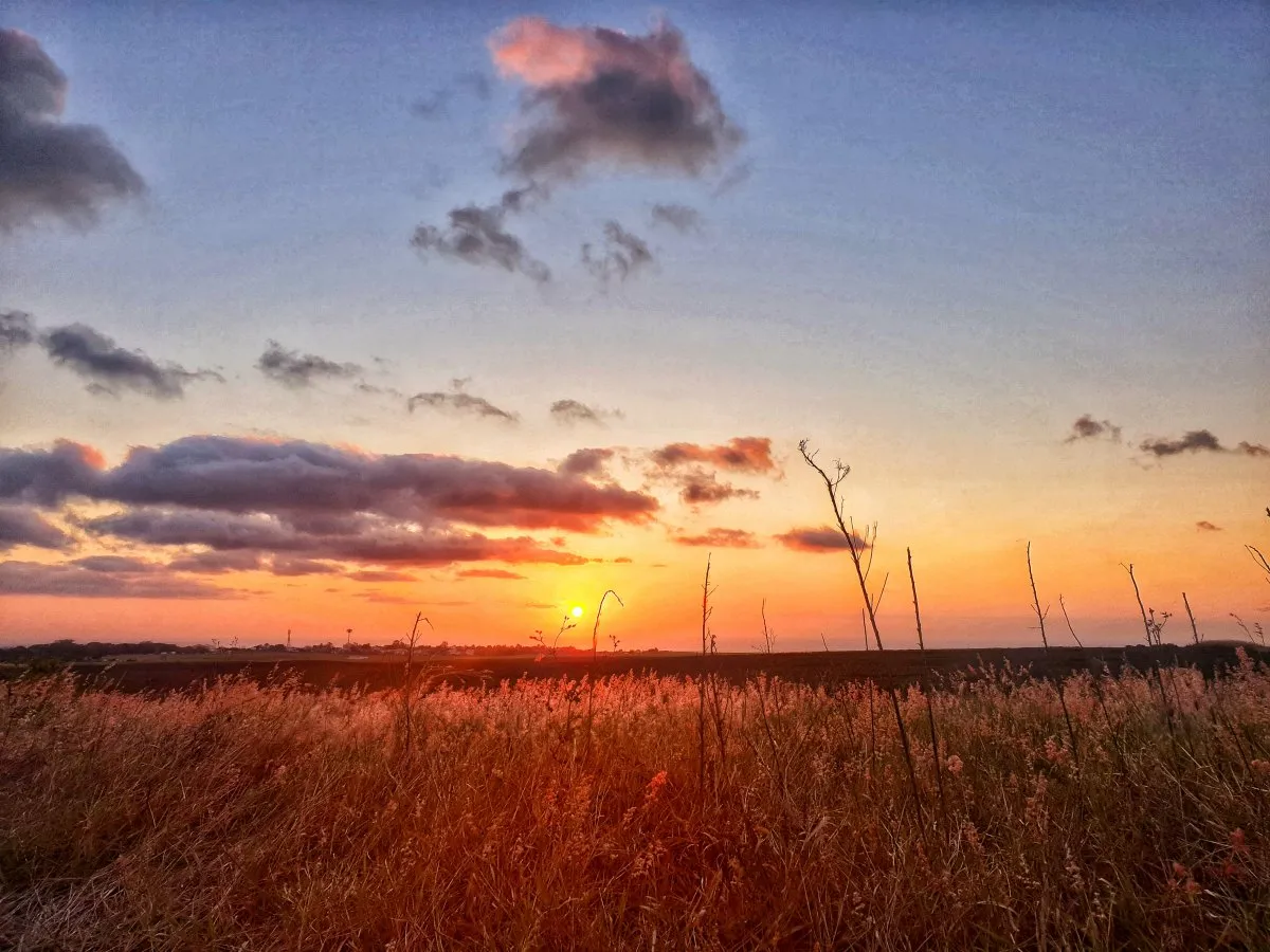 Vibrant cinematic sunset over a field in Mauritius with vivid orange, pink, and purple colors