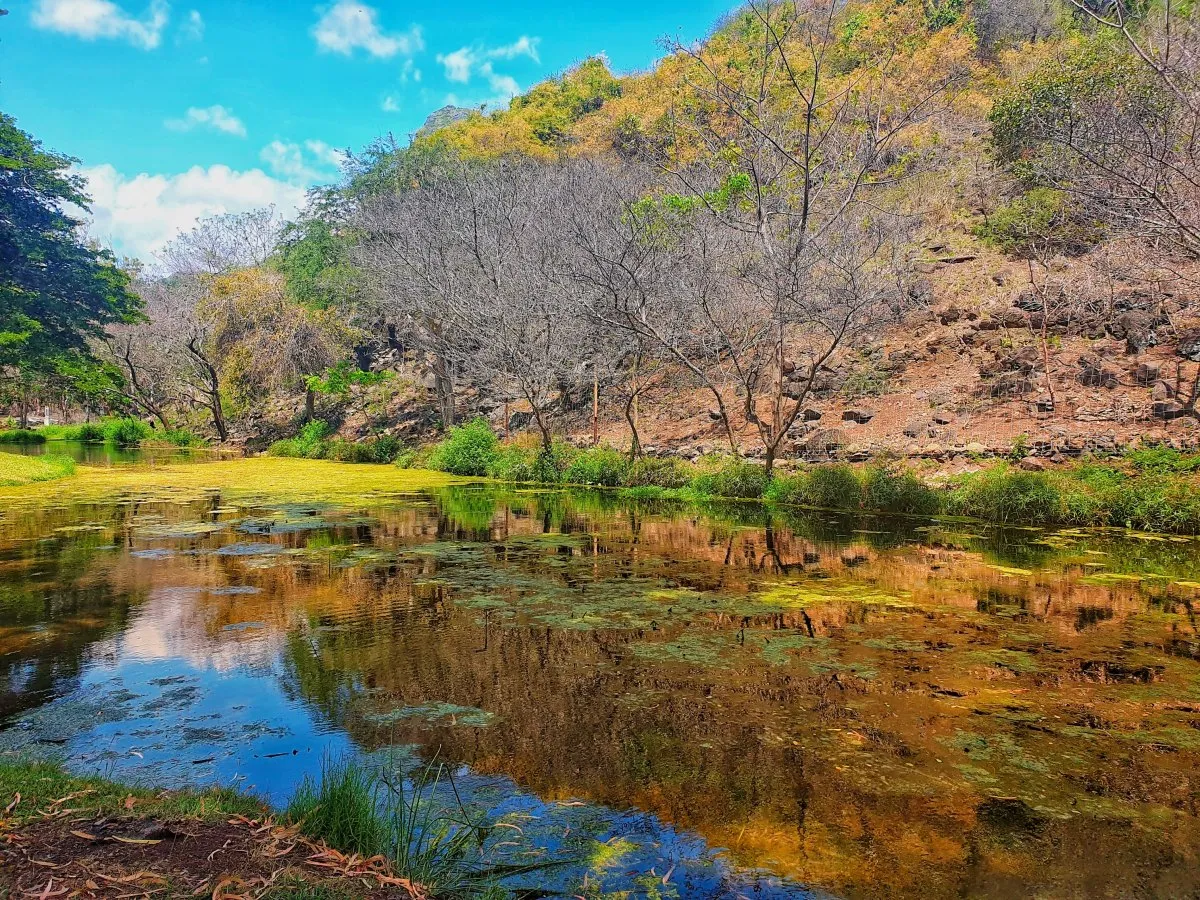 River reflecting hills and trees in Casela Park, Mauritius, showcasing natural beauty.