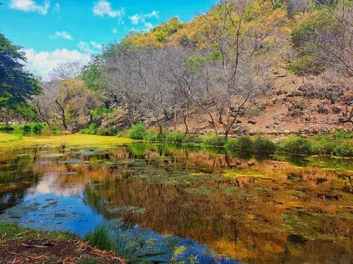 Reflection of hill & trees in river