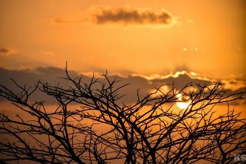 Mauritius golden hour