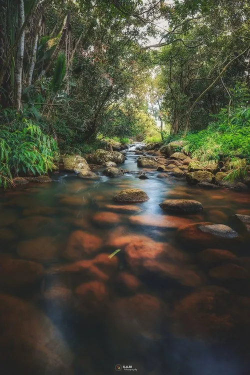 River at Hermitage running to Bagatelle Dam