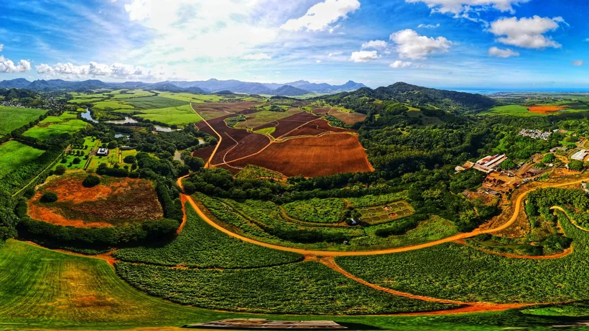 Aerial drone view of wild landscape with forest and clouds in Mauritius