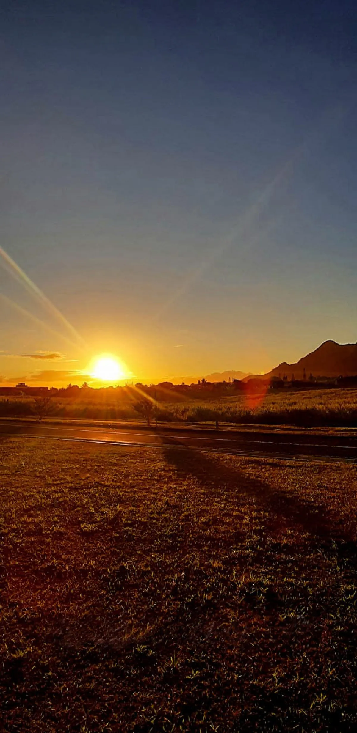 Sunset lighting a road through a vast field in Mauritius