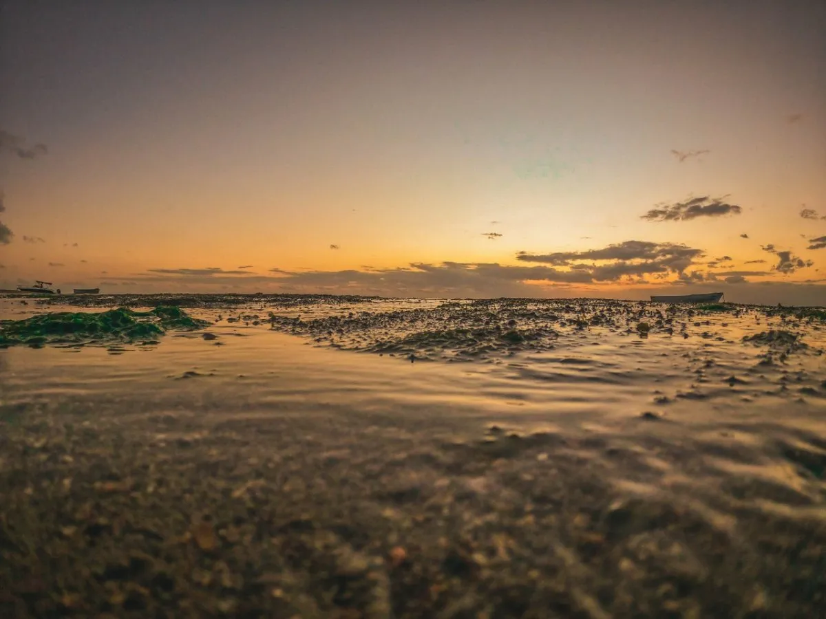 Closeup of sand and golden sky reflection at Bel Ombre beach during low tide in Mauritius