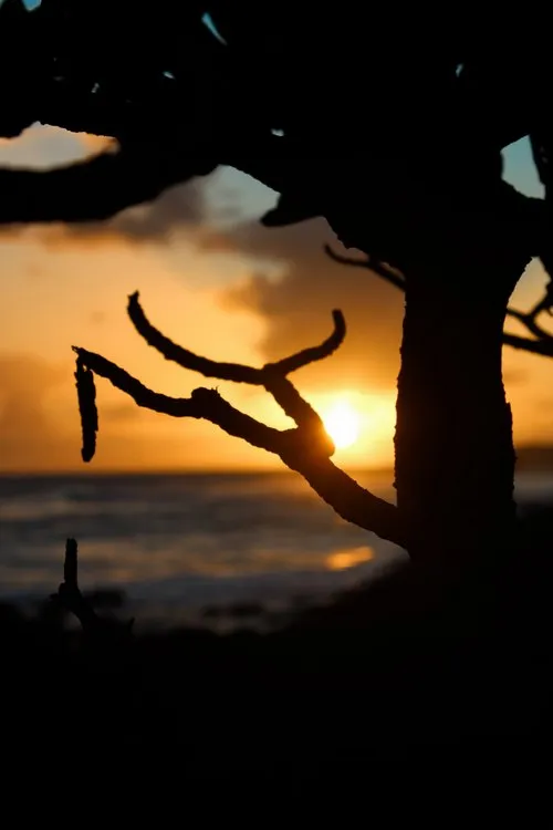 Blurred sunset in the background