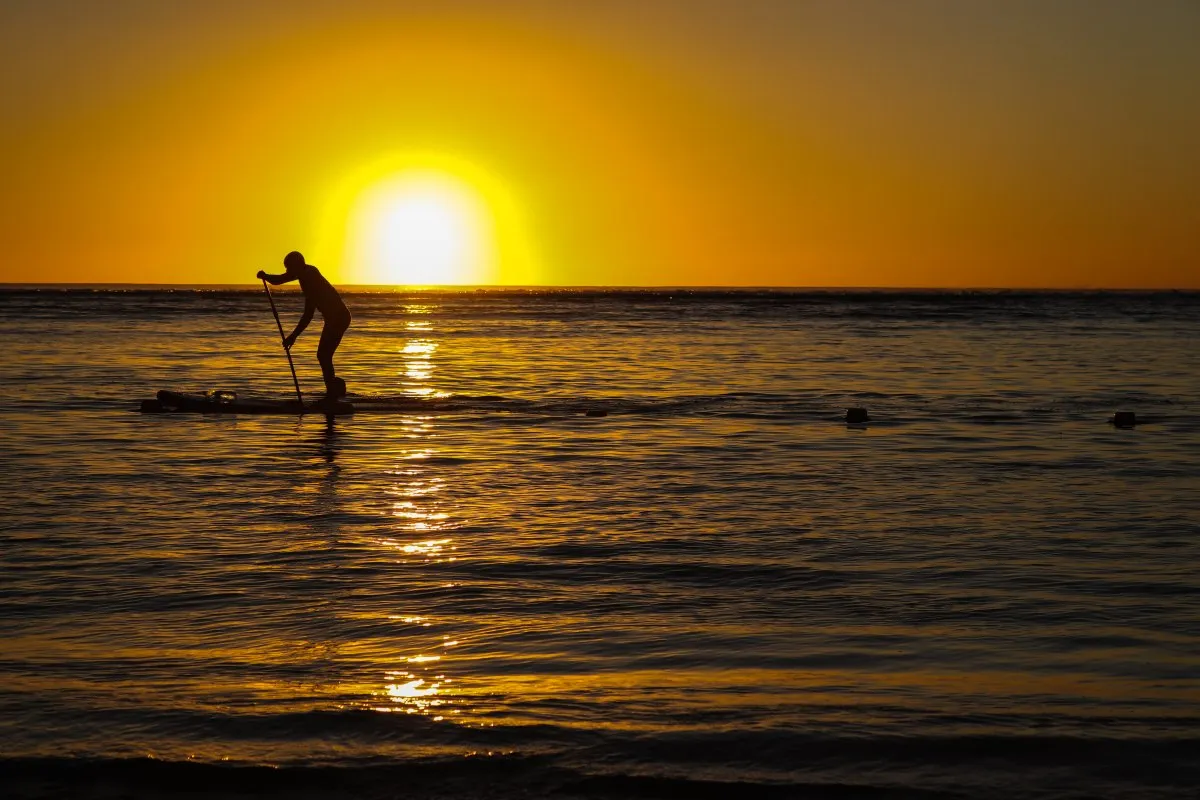 Silhouette of a man paddling on the sea at sunset in Mauritius