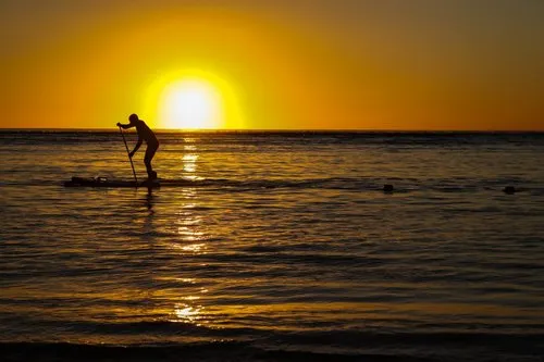 Silhouette of man paddling at sunset in the sea
