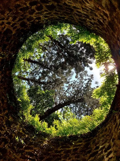 French well at Bras d'Eau Mauritius