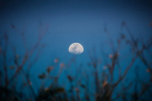 Waning gibbous moon in Mauritius