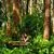 Divz Mohun Sookun Photographer on Explora Mauritius